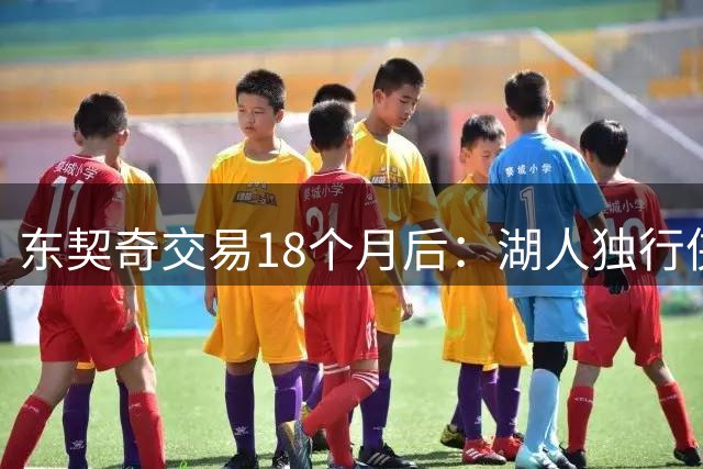 东契奇交易18个月后：湖人独行侠重建效果大比拼