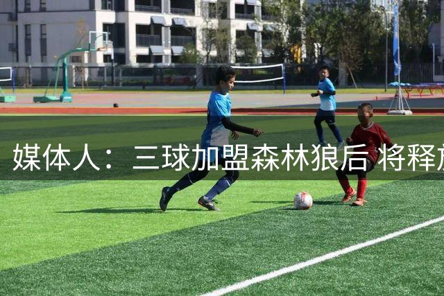 媒体人：三球加盟森林狼后 将释放戈贝尔的进攻潜能