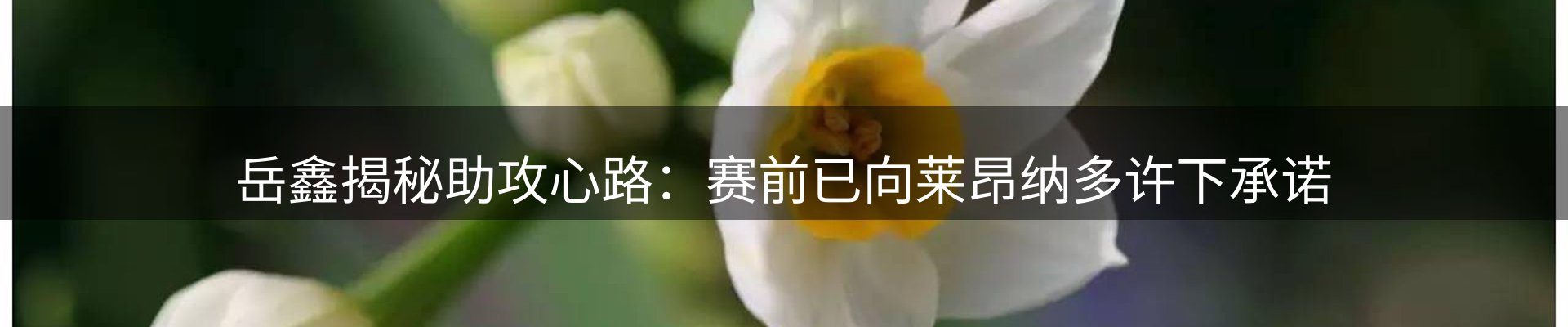 新闻趋势