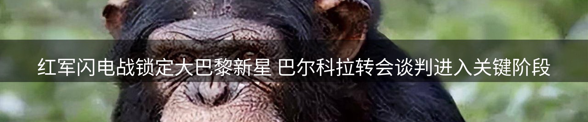 品牌资讯