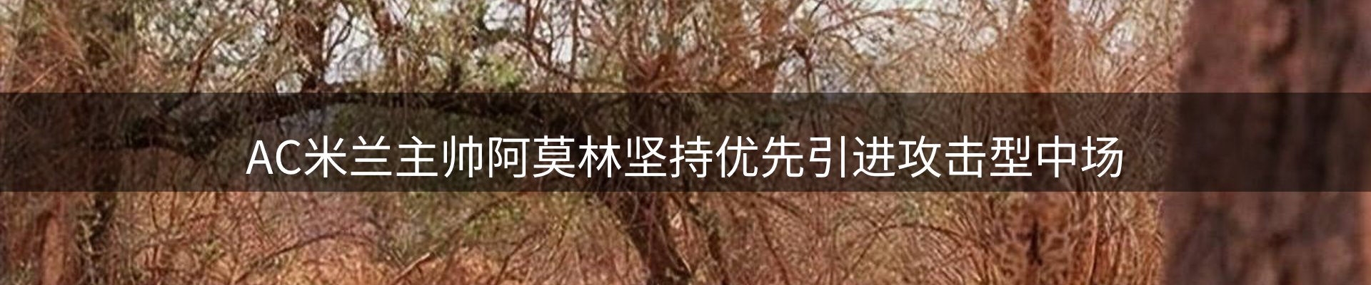 新闻趋势